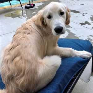 Meet your Posher, Robin